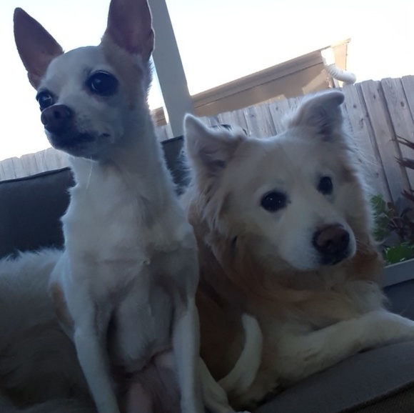 Meet your Posher, Kelly - Picture 2 of 4